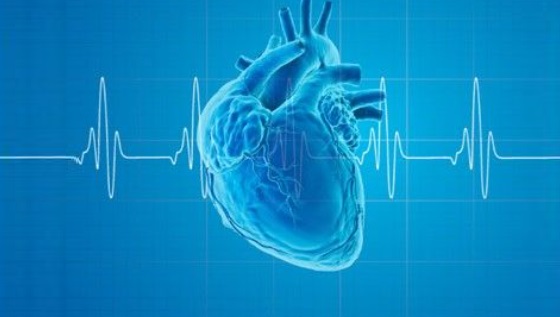 Imagen del curso Electrocardiologia